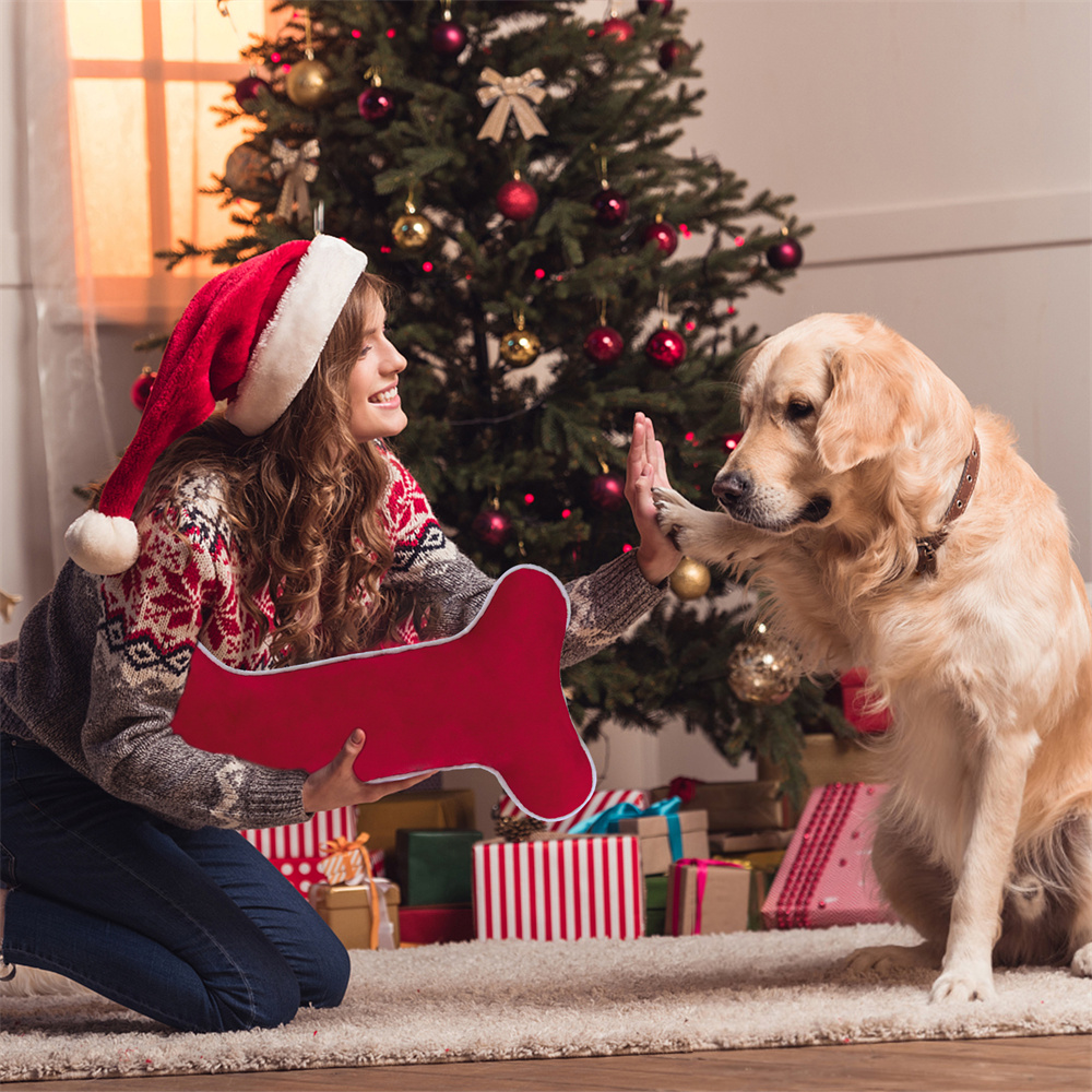 Velvet Dog Christmas Stocking  - Luxury Xmas Bags บทวิจารณ์และราคา